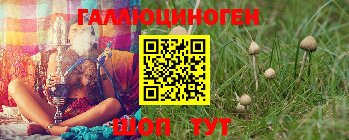 Галлюциногенные грибы GOLDEN TEACHER  Вход с VPN  Баксан 
