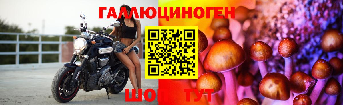 Галлюциногенные грибы прущие грибы Баксан